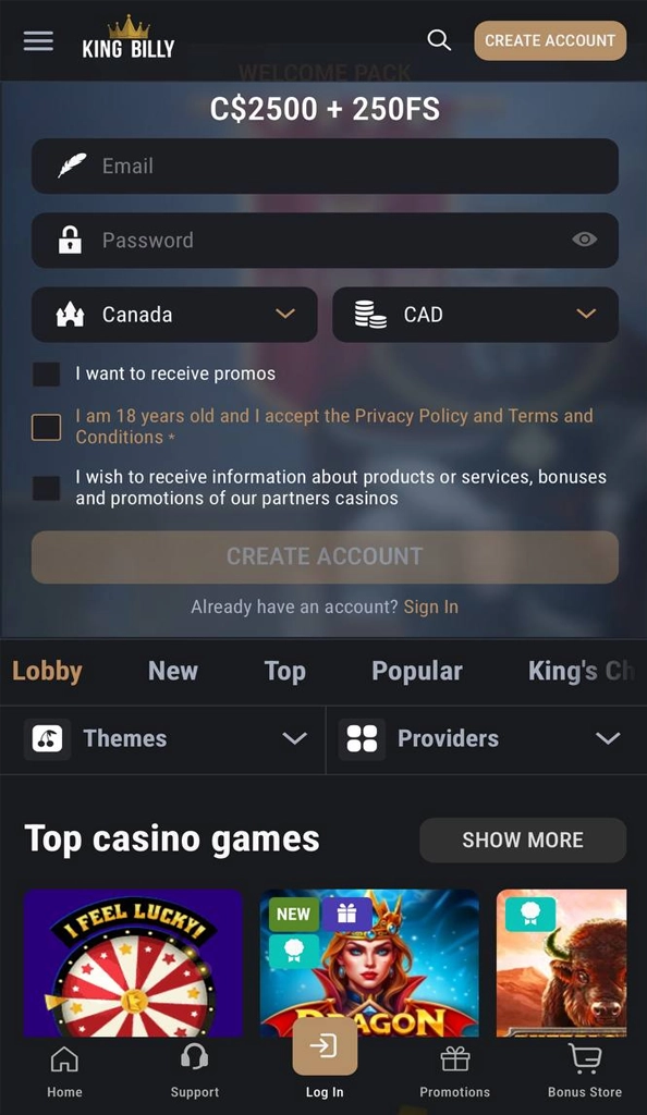 Open King Billy Online Casino website to registrate